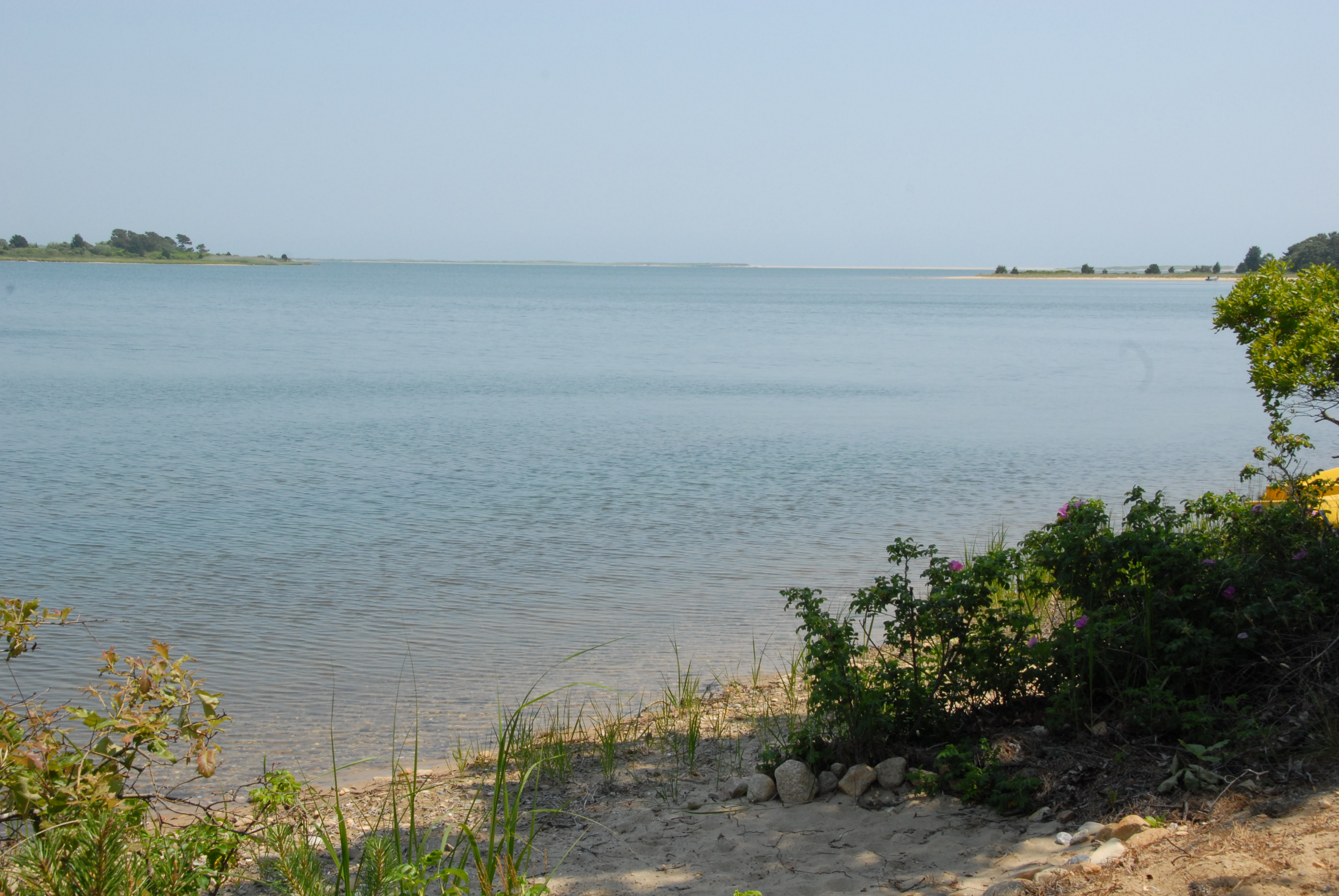 Tea Lane Leading Martha's Vineyard Real Estate Agency